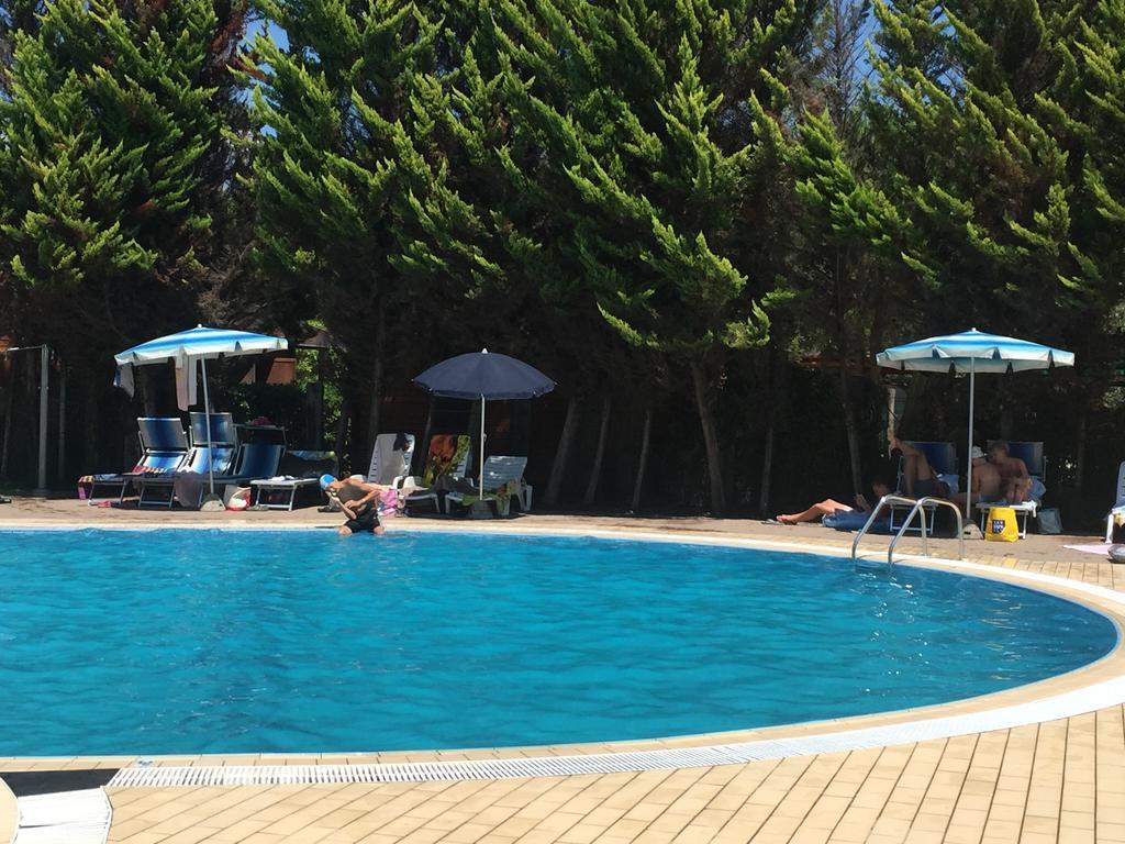 Camping Paradiso Viareggio Exterior photo